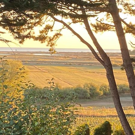 Villa Vieilles Vignes Vue Mer Billiers Eksteriør billede