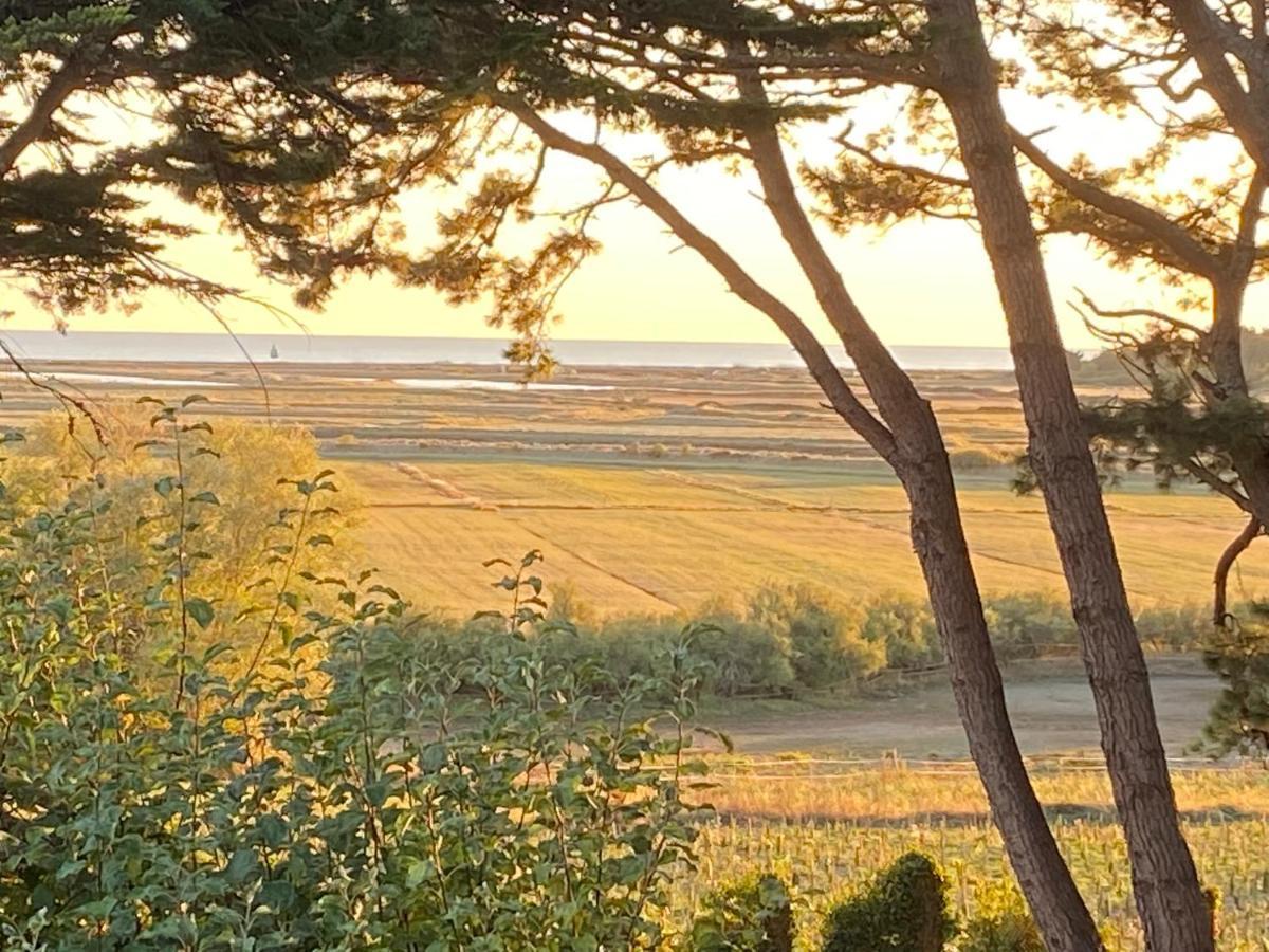 Villa Vieilles Vignes Vue Mer Billiers Eksteriør billede