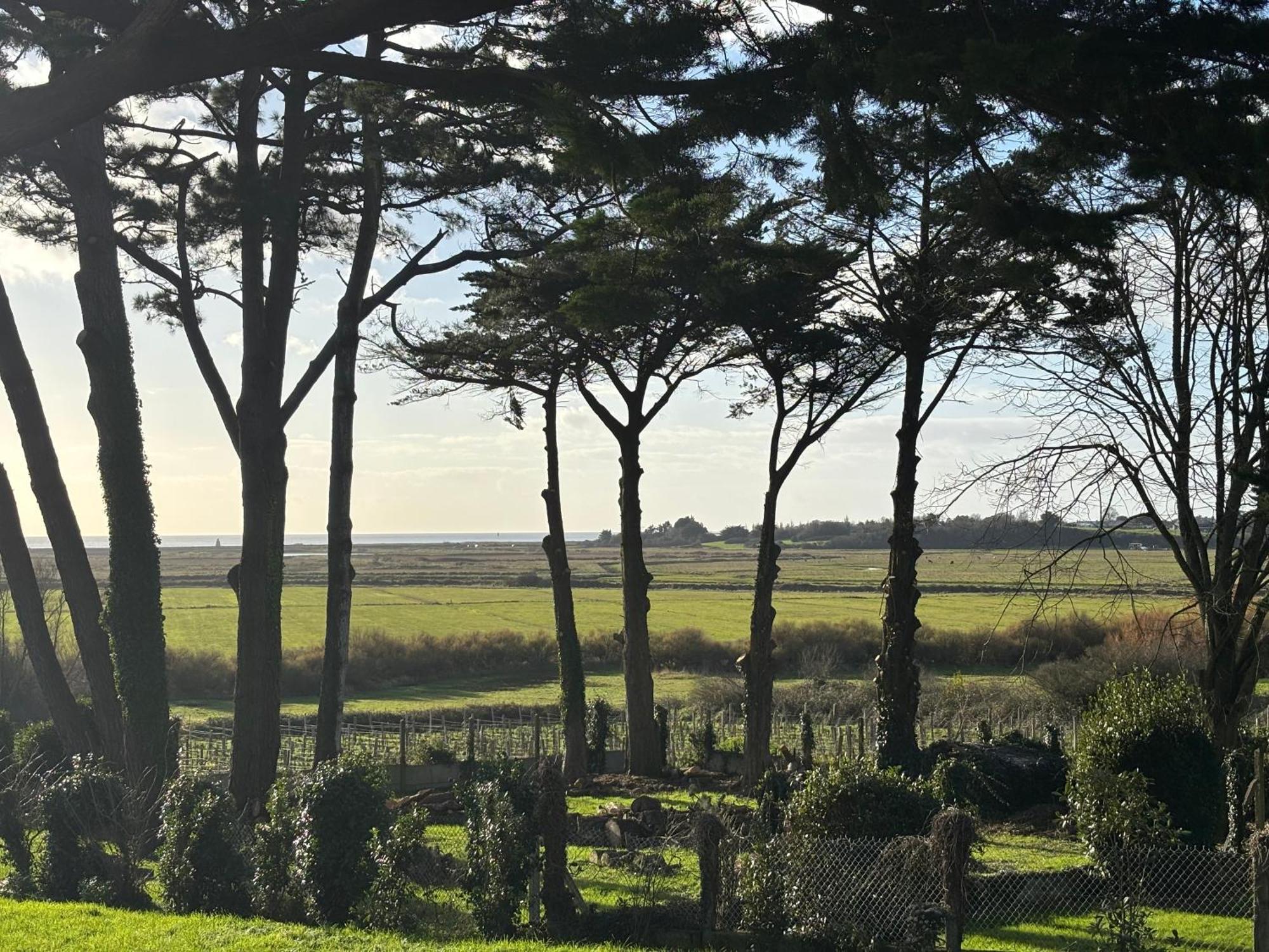 Villa Vieilles Vignes Vue Mer Billiers Eksteriør billede